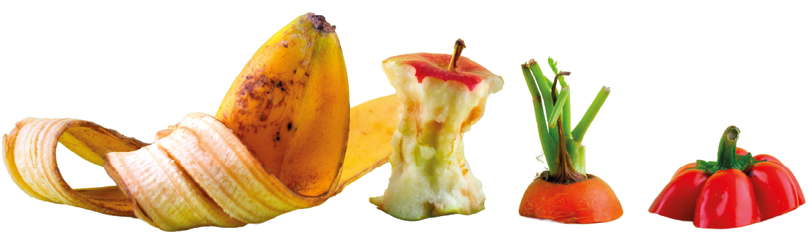 Varios deshechos alimenticios