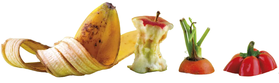 alimento-desperdicios Alimento y desperdicios